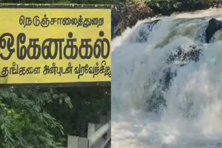 hogenakkal cauvery river