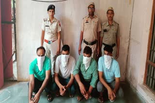 murder accused arrested in rewari