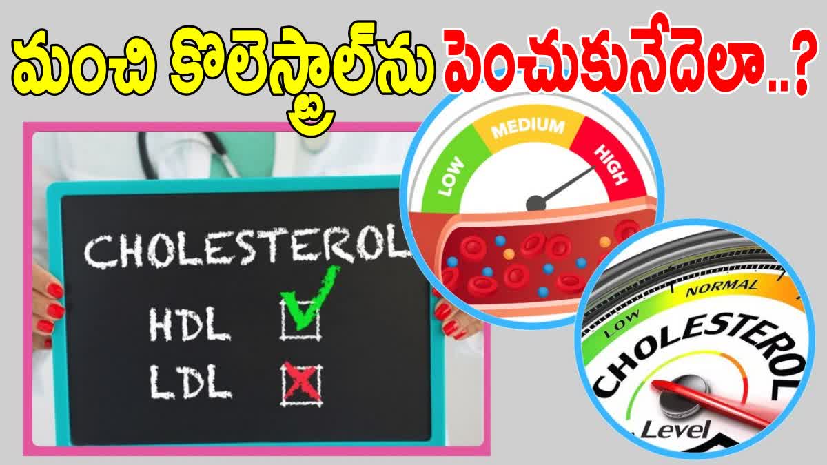 How To Improve Good Cholesterol