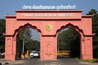 AGRICULTURE UNIVERSITY RANKED FIRST