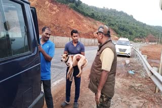 SP gave shelter to orphan dog