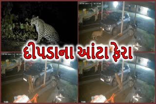 નવસારીના રહેણાંક વિસ્તારમાં દીપડાની લટાર