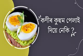 How many Egg to eat Daily