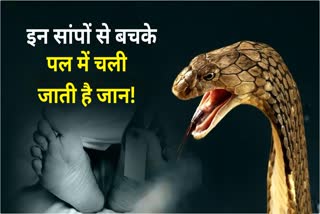 POISONOUS SNAKES IN JHARKHAND