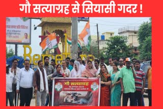 CONGRESS PROTEST WITH CATTLE