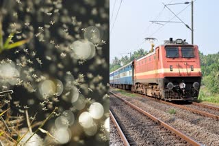 Special Train For Mosquito Prevention