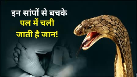 POISONOUS SNAKES IN JHARKHAND