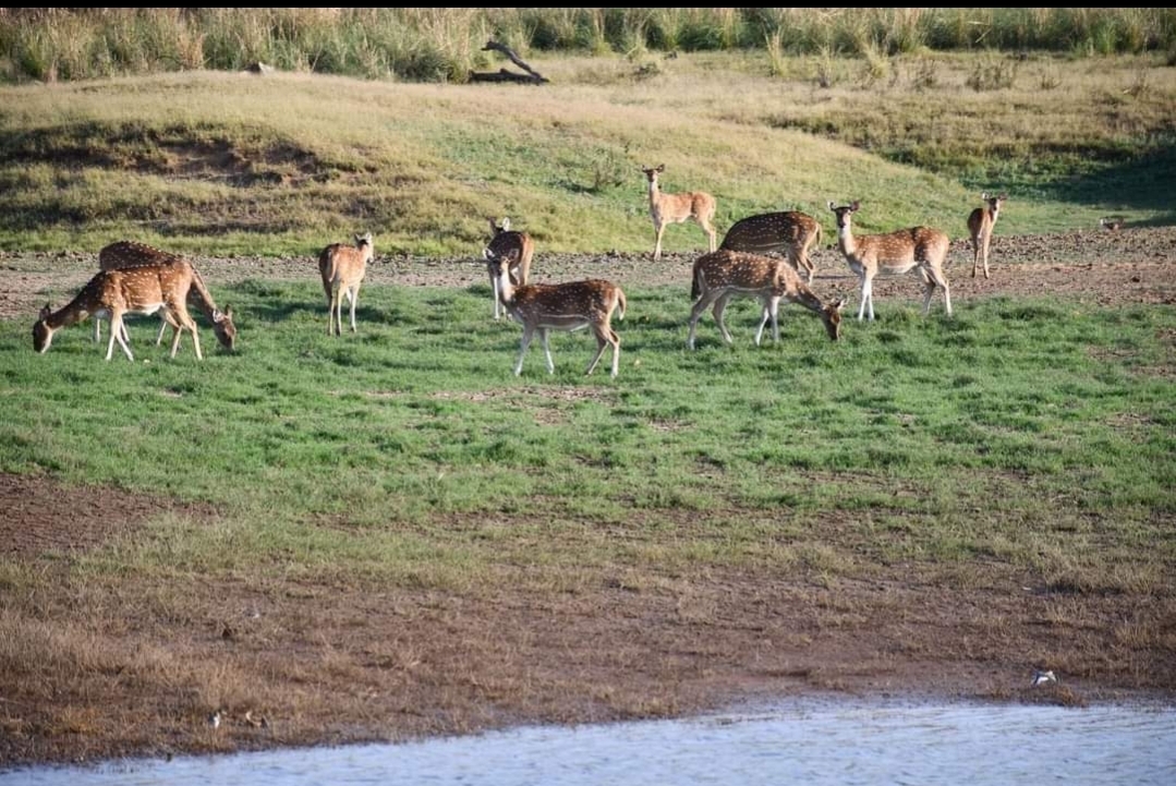 Tawa reservoir Ramsar wetland