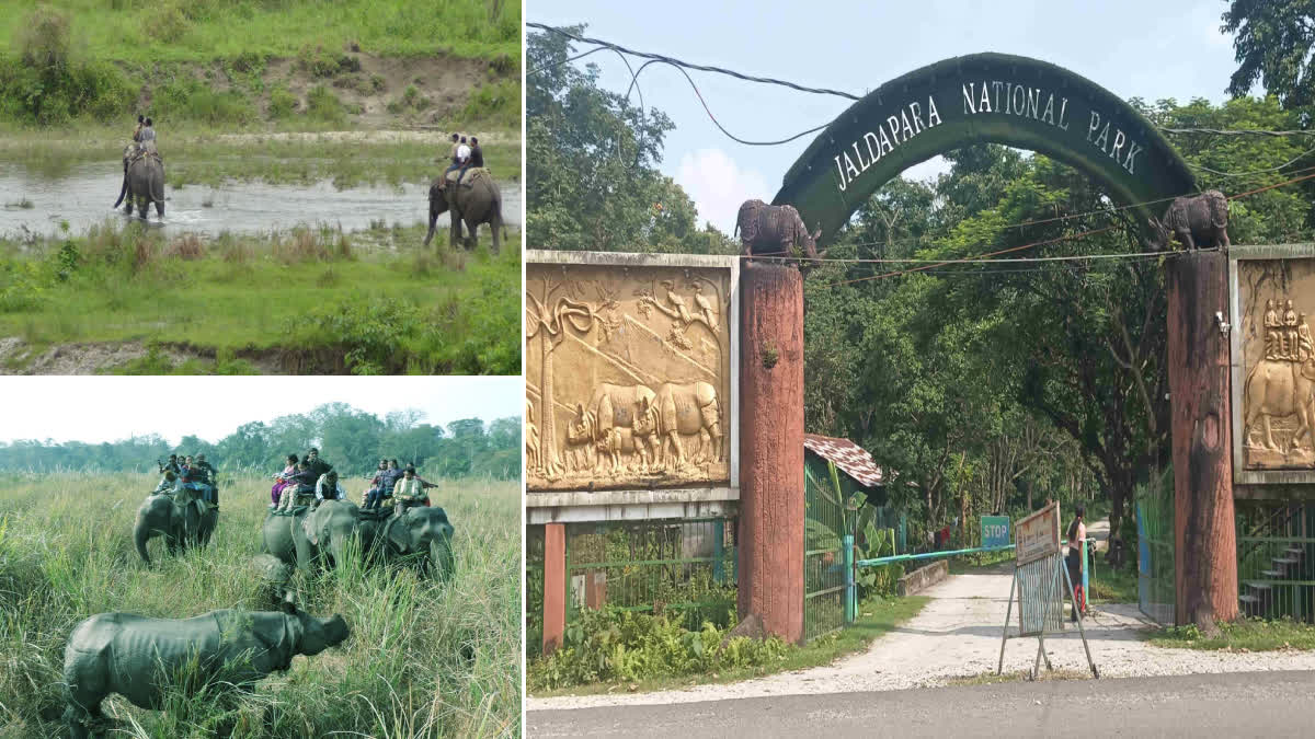 North Bengal Forest Tourism Restart ETV BHARAT
