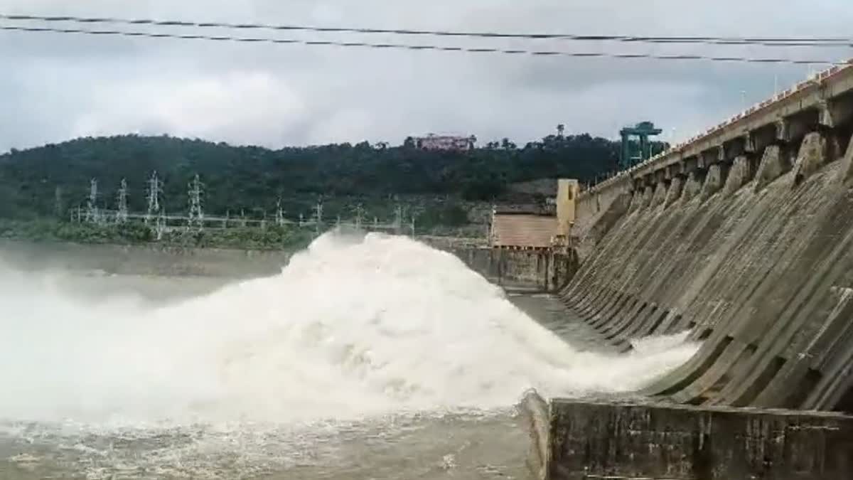 water level increase in hirakud dam