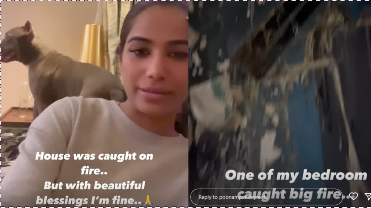 Poonam Pandey House Caught Fire