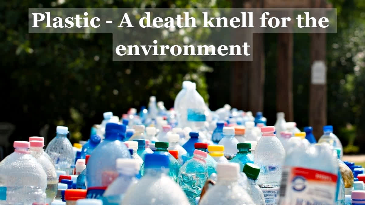 Plastic - a death knell for the environment