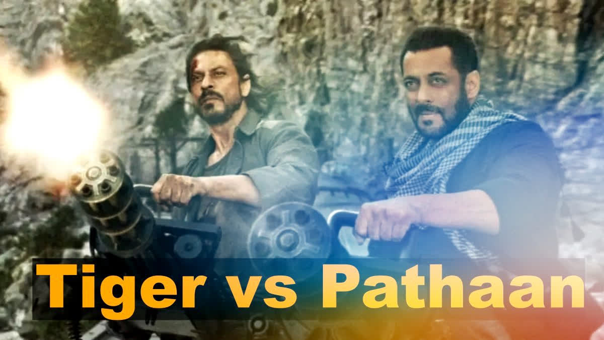 Bollywood biggies Shah Rukh Khan and Salman Khan have officially given their approval for the script of the highly anticipated film Tiger vs Pathaan. This revelation contradicts previous media reports suggesting that producer Aditya Chopra would host a joint narration of the script for both actors.