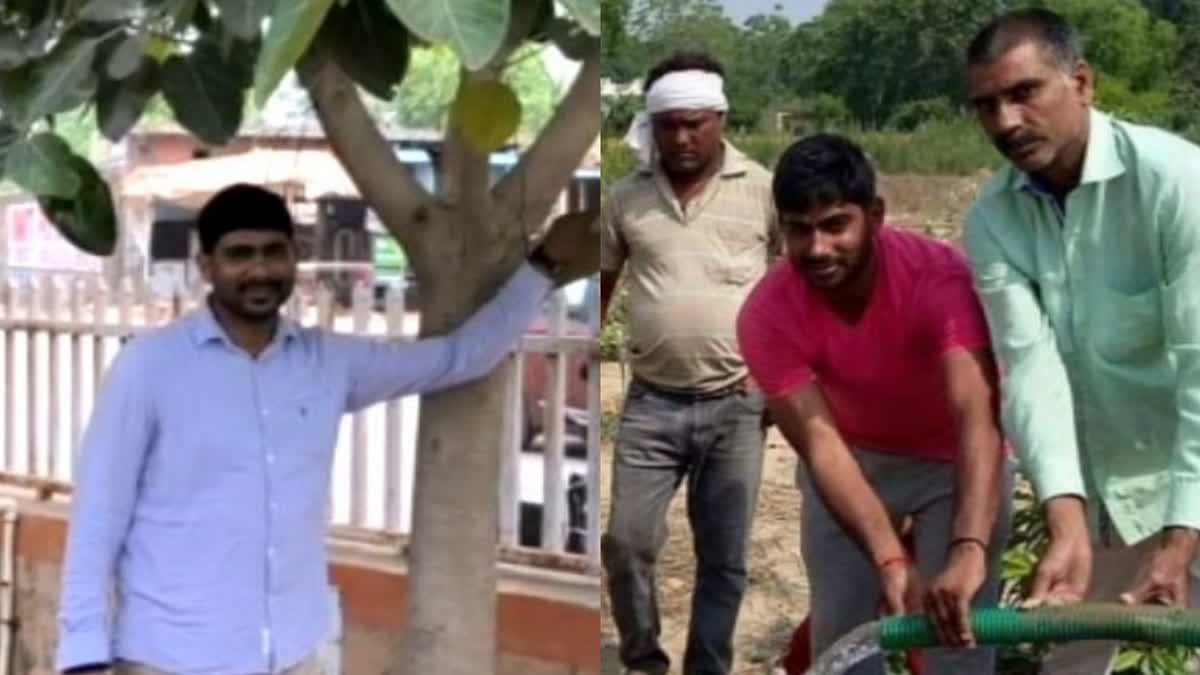 Amid the Air Quality Index reaching to alarming levels, has emerged as a beacon of hope in Faridabad, as the 'tree man' has planted over 2 lakh saplings till now.