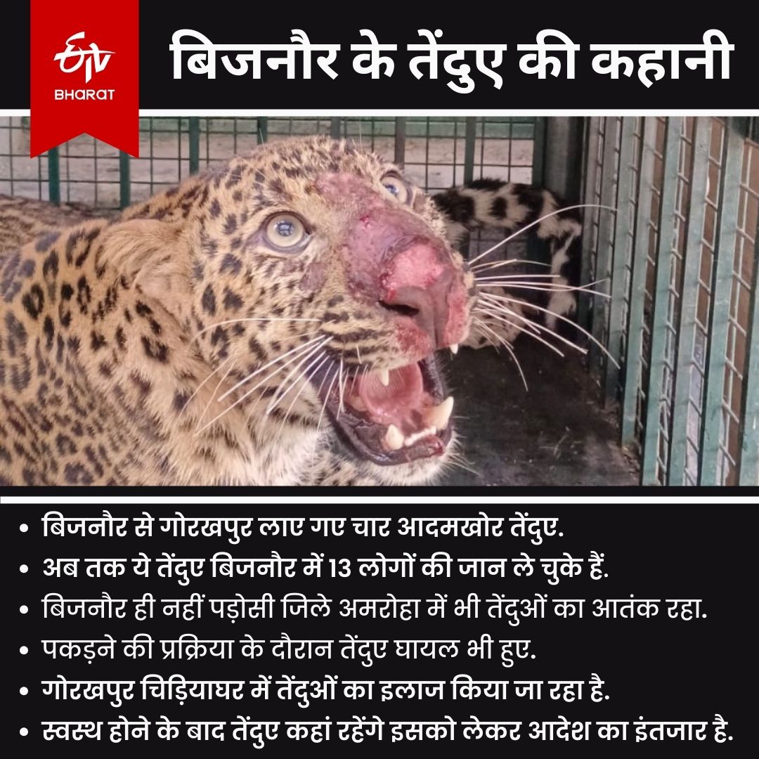 Gorakhpur Zoo