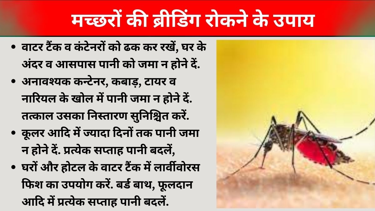राजधानी लखनऊ में डेंगू का प्रकोप.