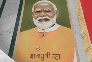 Grain Portrait Of PM Modi