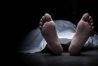 Newspaper agent death Alappuzha  Old Man Died After Hitting SETC Bus  Alappuzha Old Man Death  തമിഴ്‌നാട് എസ്‌ഇടിസി ബസ് ഇടിച്ച് തെറിപ്പിച്ചു  പാർവതി മന്ദിരത്തിൽ ദത്തന്‍  ആലപ്പുഴ വയോധികന്‍റെ മരണം