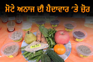 In the Ludhiana Kisan Mela, coarse grain attracted everyone's attention, know about the benefits of coarse grain