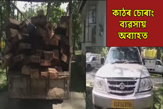 Smuggled timber in Assam