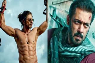 Shah rukh cameo in salman film tiger 3