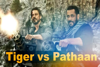 Bollywood biggies Shah Rukh Khan and Salman Khan have officially given their approval for the script of the highly anticipated film Tiger vs Pathaan. This revelation contradicts previous media reports suggesting that producer Aditya Chopra would host a joint narration of the script for both actors.