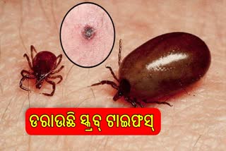 ୨୪ ଘଣ୍ଟାରେ ୭ ରୋଗୀ ଚିହ୍ନଟ