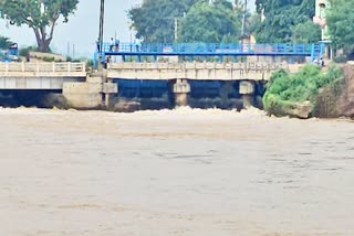 हद हदवा पुल से एक छात्रा ने नदी में लगाई छलांग