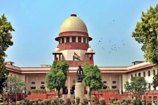 Orphan Is An Orphan, Supreme Court To Centre