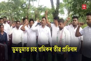 Tea Garden Workers Protest at Doom Dooma