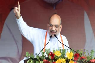 NDA Will Win All Seats In Bihar  Home minister Amit Shah  Bihar 2024 Lok Sabha Polls  Amit Shah On Lok Sabha Polls Bihar  NDA  അമിത് ഷാ  നിതീഷ് ലാലു കൂട്ടുകെട്ടിൽ അമിത് ഷാ  ബിഹാറിലെ മുഴുവൻ സീറ്റും എൻഡിഎ നേടും  ലോക്‌സഭ തെരഞ്ഞെടുപ്പ്  ബിഹാറിൽ അമിത് ഷാ