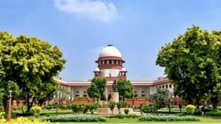 SC gives protection from arrest