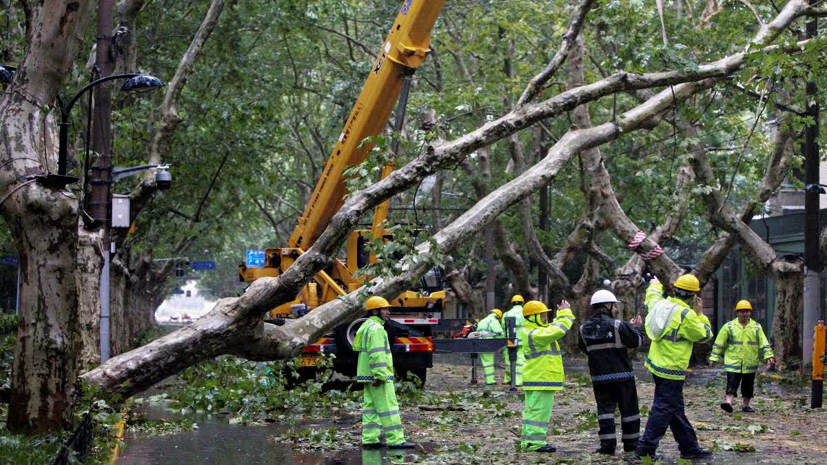 Powerful storm paralyses life in China's Shanghai