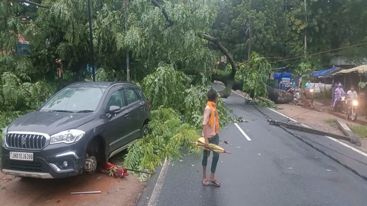 Tree fell on bike in Latehar