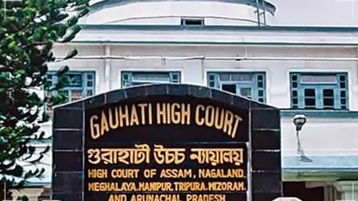 Gauhati HC on Dhing rape case