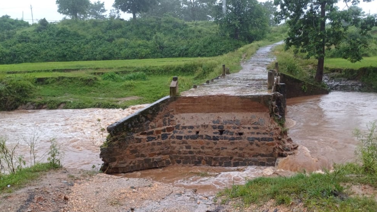 Tree fell on bike in Latehar