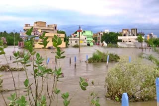 Heavy Crop Loss In Suryapet