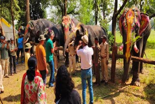 KANHA ELEPHANT FESTIVAL START