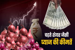 onion-price-rates-hike-punjab-delhi-up-mahrashtra-haryana-mandi-bhav-in-india-hindi-news