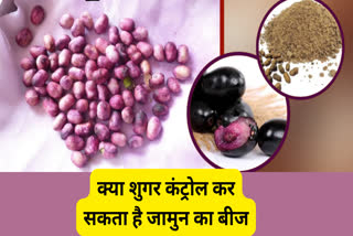 HEALTH BENEFITS OF JAMUN SEEDS