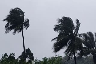 Rain In Jamtara