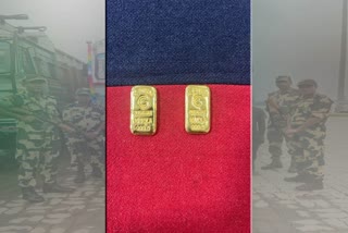 Gold Recovered by BSF