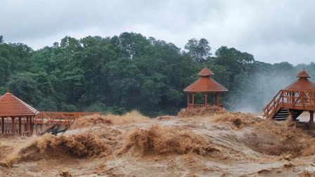 Due to continuous rain Sugga Falls of Latehar assumed monstrous form