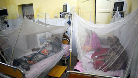 Second Death Due To Dengue In Safdurjung hospital, Delhi