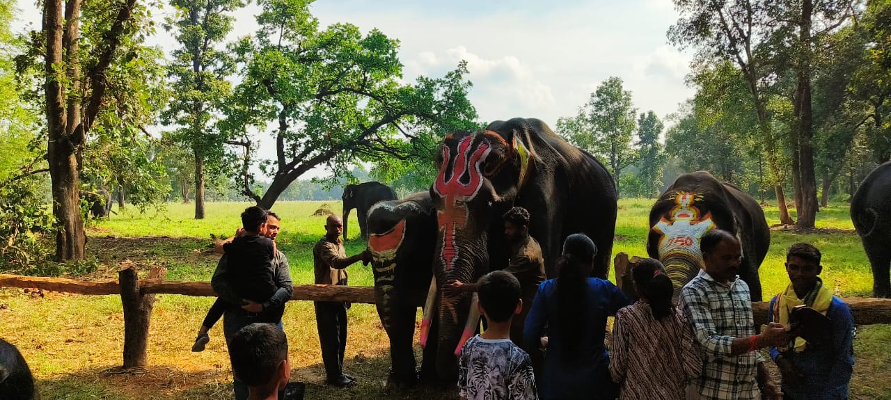 MP HATHI MAHOTSAV