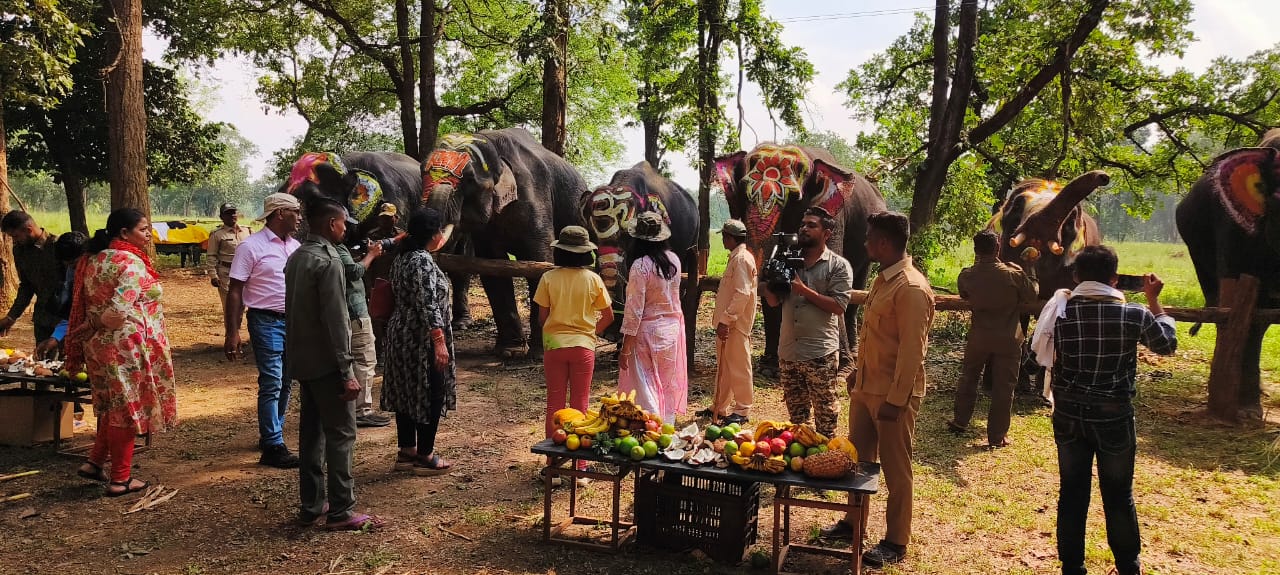 Kanha Tiger Reserve Mandla