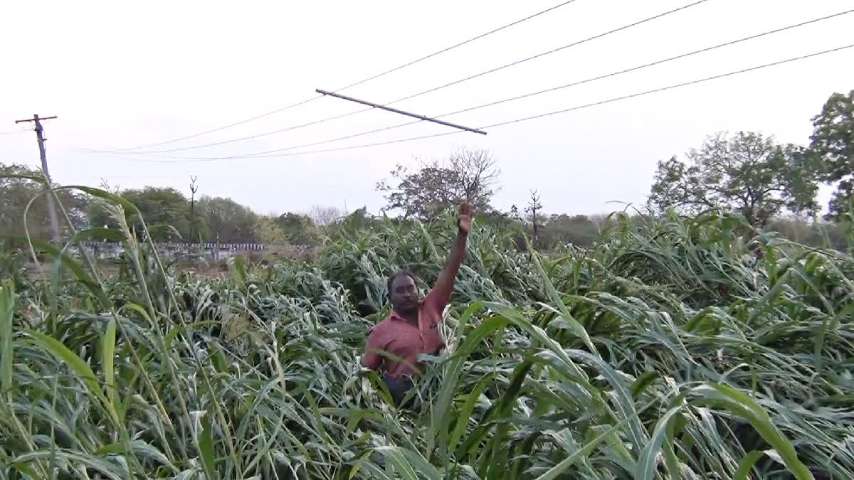 Farmers complain against electricity officer