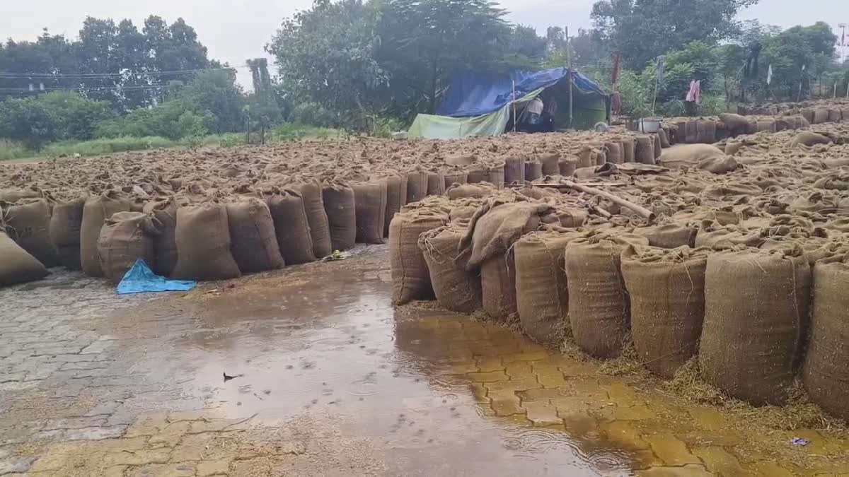 Kurukshetra Grain Market