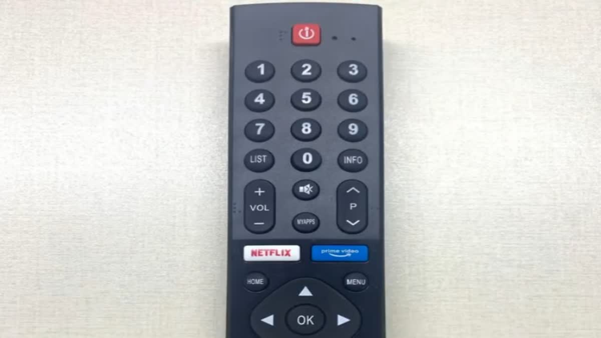 Fight between children for TV remote