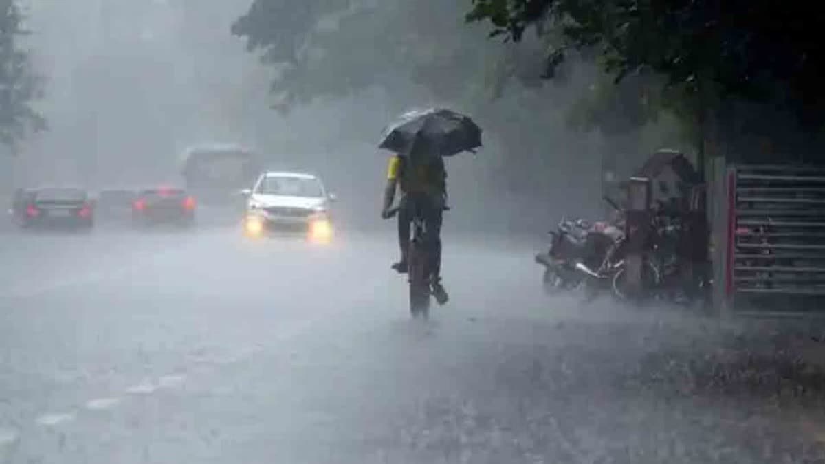 Haryana Weather Report